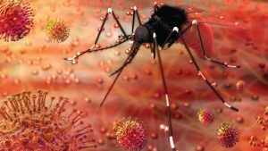 mosquito spraying chesapeake va