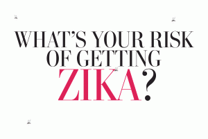 zika virus risk in virginia