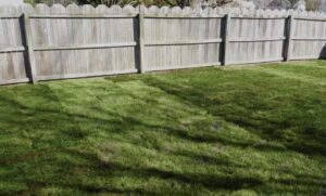Lawn Fertilization Woburn Mass